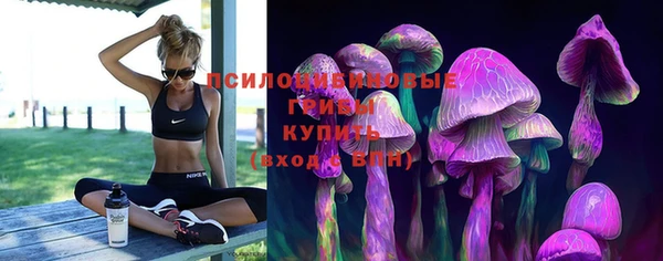 эйфоретик Баксан